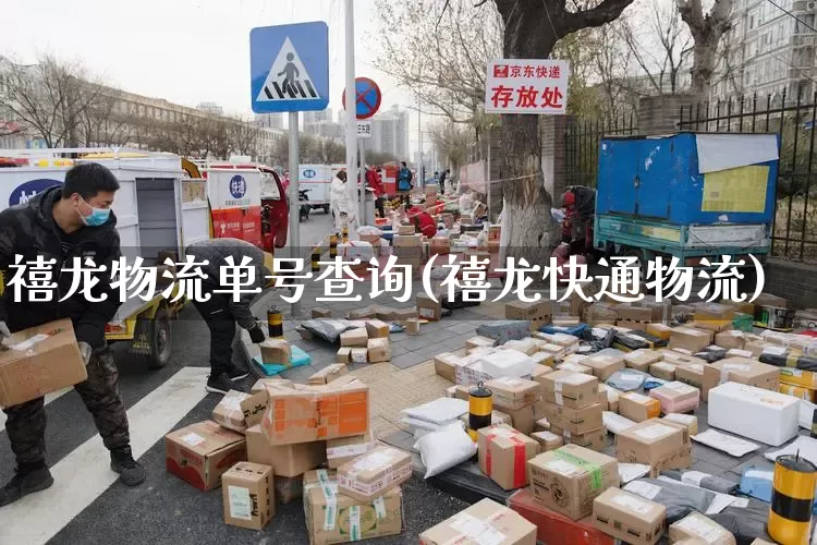禧龙物流单号查询(禧龙快通物流)_https://www.senxinmaoyi.com_邮政编码_第1张
