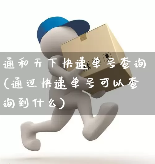 通和天下快递单号查询(通过快递单号可以查询到什么)_https://www.senxinmaoyi.com_物流单号_第1张