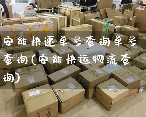 安能快速单号查询单号查询(安能快运物流查询)_https://www.senxinmaoyi.com_物流查询_第1张