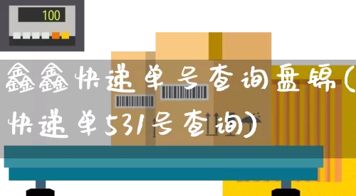 鑫鑫快递单号查询盘锦(快递单531号查询)_https://www.senxinmaoyi.com_物流查询_第1张