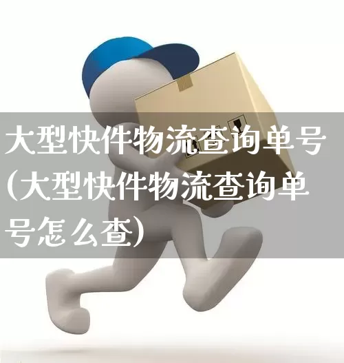 大型快件物流查询单号(大型快件物流查询单号怎么查)_https://www.senxinmaoyi.com_物流单号_第1张