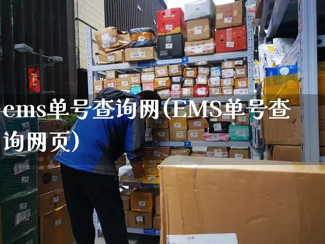 ems单号查询网(EMS单号查询网页)_https://www.senxinmaoyi.com_物流单号_第1张