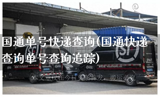 国通单号快递查询(国通快递查询单号查询追踪)_https://www.senxinmaoyi.com_物流单号_第1张