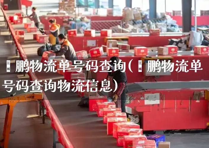 鑫鹏物流单号码查询(鑫鹏物流单号码查询物流信息)_https://www.senxinmaoyi.com_物流单号_第1张