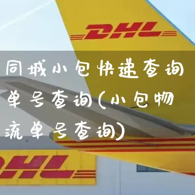 同城小包快递查询单号查询(小包物流单号查询)_https://www.senxinmaoyi.com_快递查询_第1张