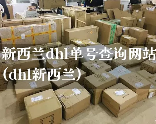 新西兰dhl单号查询网站(dhl新西兰)_https://www.senxinmaoyi.com_邮政编码_第1张