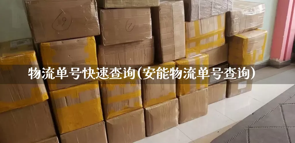 物流单号快速查询(安能物流单号查询)_https://www.senxinmaoyi.com_物流单号_第1张