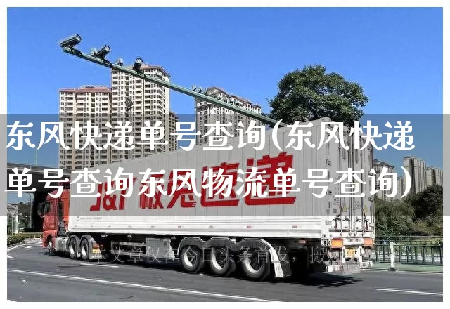 东风快递单号查询(东风快递单号查询东风物流单号查询)_https://www.senxinmaoyi.com_物流单号_第1张