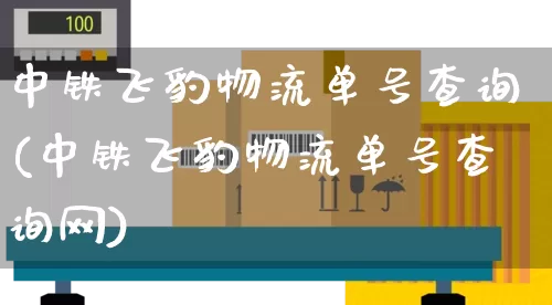 中铁飞豹物流单号查询(中铁飞豹物流单号查询网)_https://www.senxinmaoyi.com_快递查询_第1张