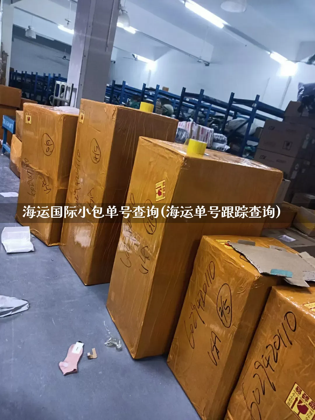 海运国际小包单号查询(海运单号跟踪查询)_https://www.senxinmaoyi.com_物流单号_第1张