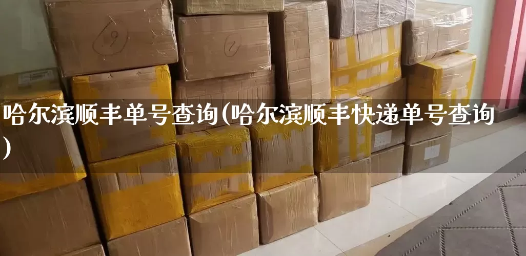 哈尔滨顺丰单号查询(哈尔滨顺丰快递单号查询)_https://www.senxinmaoyi.com_物流查询_第1张