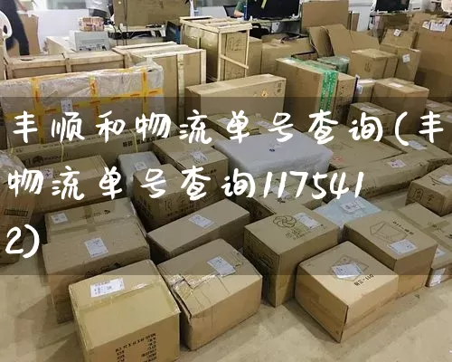 丰顺和物流单号查询(丰顺物流单号查询1175412)_https://www.senxinmaoyi.com_物流单号_第1张