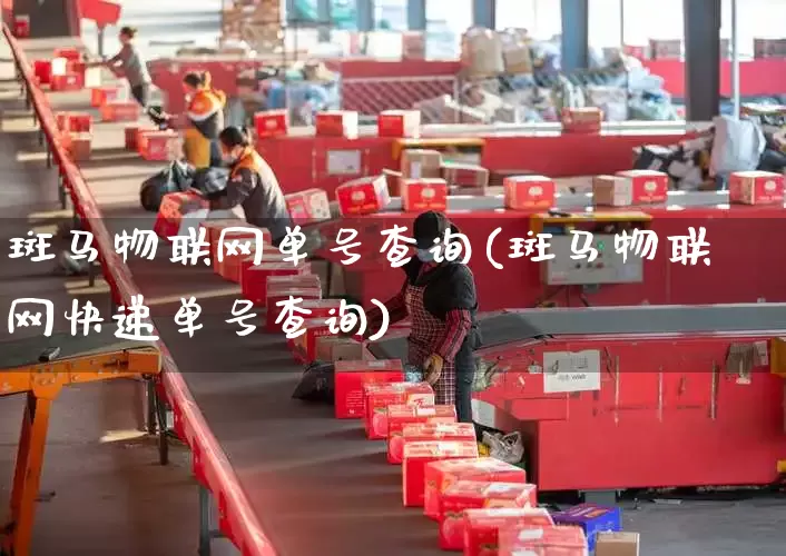 斑马物联网单号查询(斑马物联网快递单号查询)_https://www.senxinmaoyi.com_快递查询_第1张