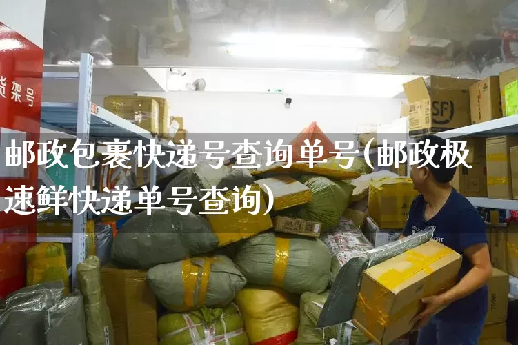 邮政包裹快递号查询单号(邮政极速鲜快递单号查询)_https://www.senxinmaoyi.com_快递查询_第1张