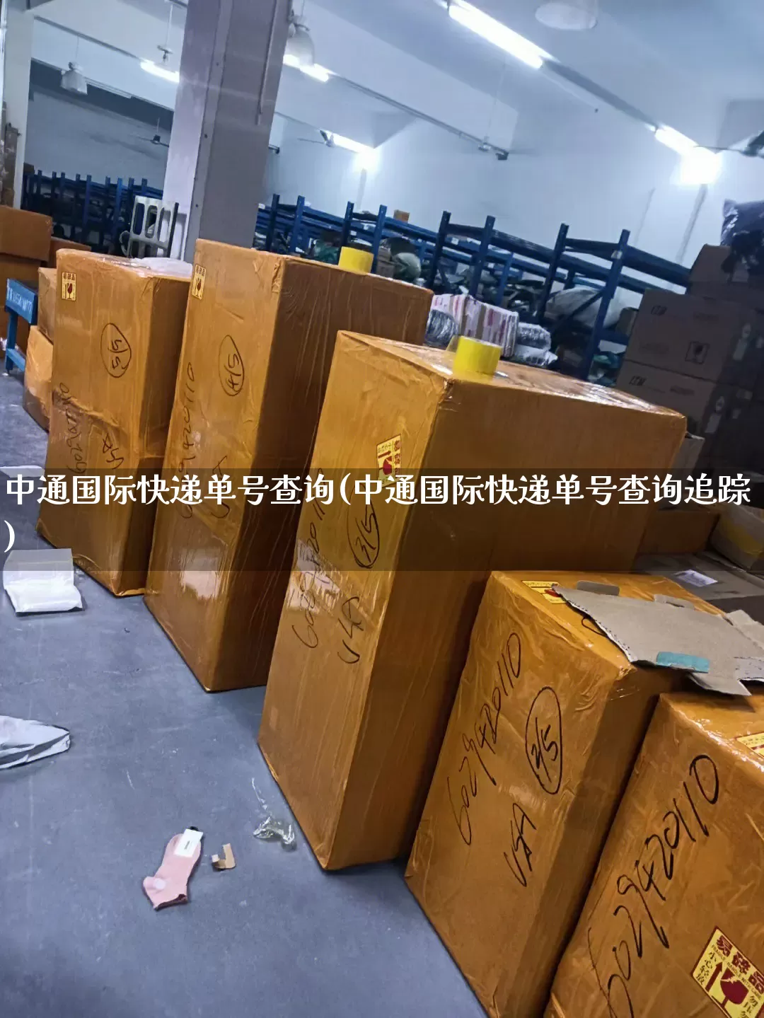 中通国际快递单号查询(中通国际快递单号查询追踪)_https://www.senxinmaoyi.com_物流单号_第1张