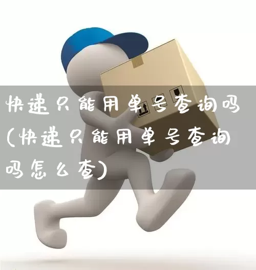 快递只能用单号查询吗(快递只能用单号查询吗怎么查)_https://www.senxinmaoyi.com_物流查询_第1张