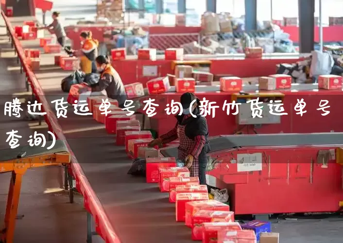 腾达货运单号查询(新竹货运单号查询)_https://www.senxinmaoyi.com_邮政编码_第1张
