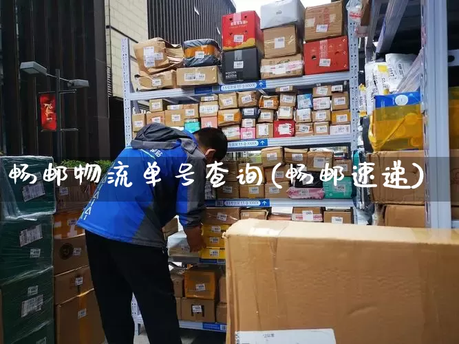 畅邮物流单号查询(畅邮速递)_https://www.senxinmaoyi.com_物流单号_第1张