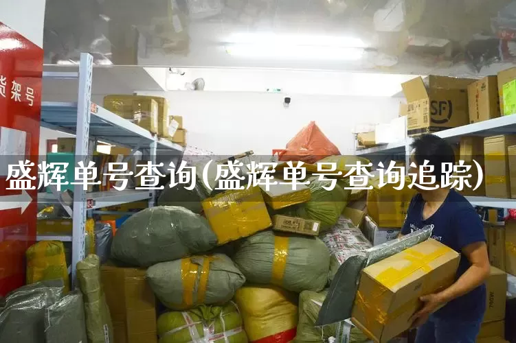 盛辉单号查询(盛辉单号查询追踪)_https://www.senxinmaoyi.com_物流单号_第1张