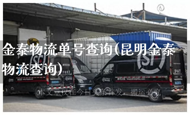 金泰物流单号查询(昆明金泰物流查询)_https://www.senxinmaoyi.com_快递查询_第1张