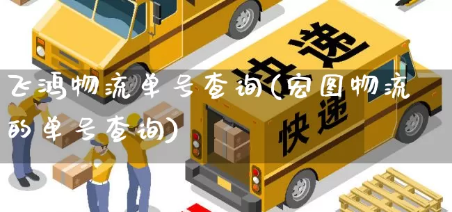 飞鸿物流单号查询(宏图物流的单号查询)_https://www.senxinmaoyi.com_邮政编码_第1张