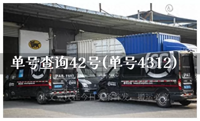 单号查询42号(单号4312)_https://www.senxinmaoyi.com_快递查询_第1张