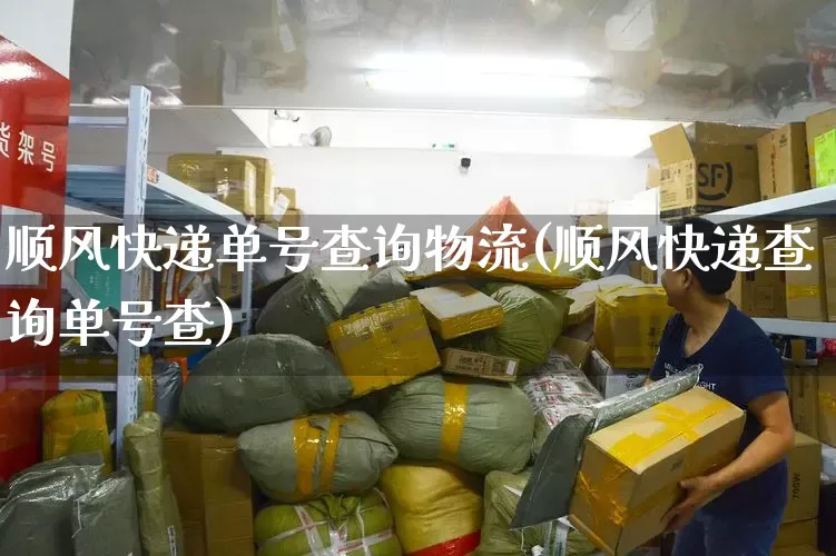 顺风快递单号查询物流(顺风快递查询单号查)_https://www.senxinmaoyi.com_物流单号_第1张