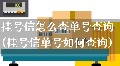 挂号信怎么查单号查询(挂号信单号如何查询)_https://www.senxinmaoyi.com_快递查询_第1张