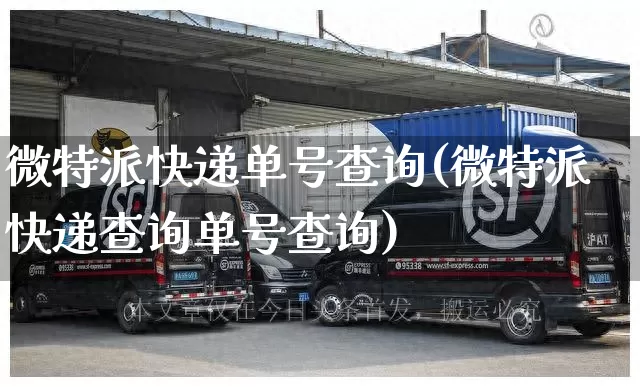 微特派快递单号查询(微特派快递查询单号查询)_https://www.senxinmaoyi.com_物流单号_第1张