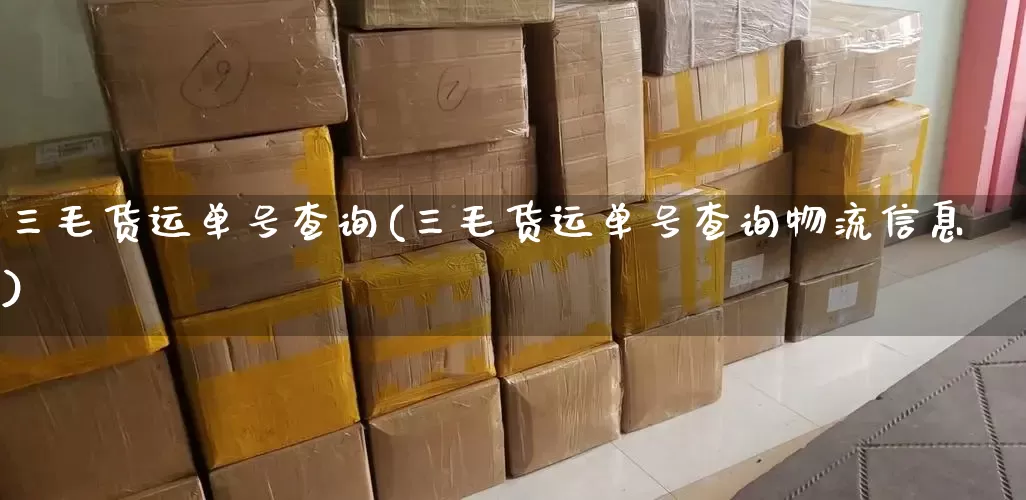 三毛货运单号查询(三毛货运单号查询物流信息)_https://www.senxinmaoyi.com_快递查询_第1张