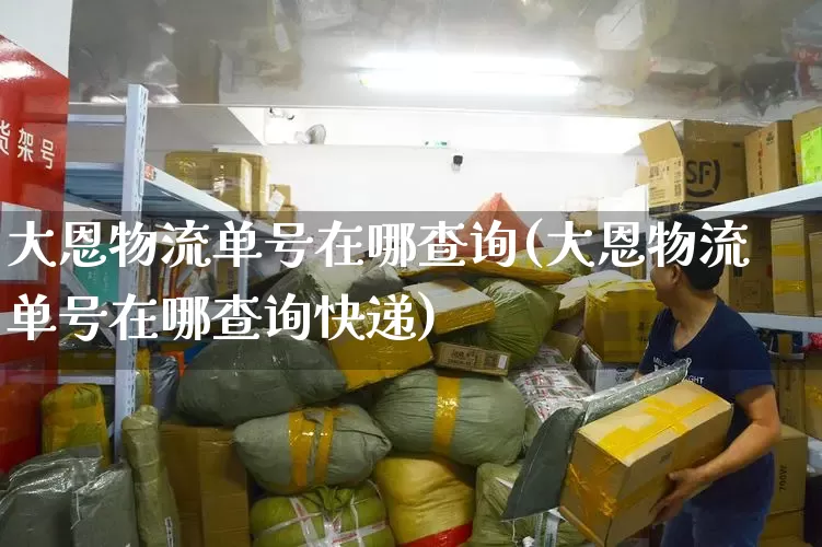 大恩物流单号在哪查询(大恩物流单号在哪查询快递)_https://www.senxinmaoyi.com_物流单号_第1张