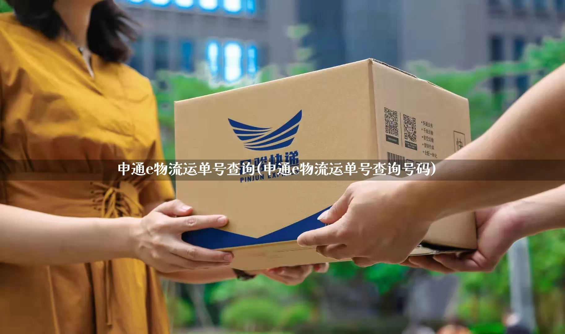 申通e物流运单号查询(申通e物流运单号查询号码)_https://www.senxinmaoyi.com_快递查询_第1张