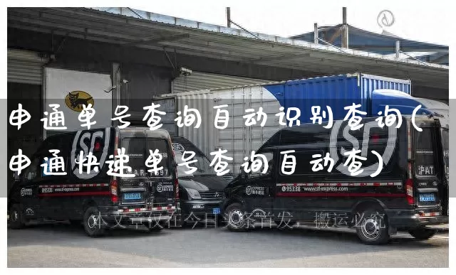 申通单号查询自动识别查询(申通快递单号查询自动查)_https://www.senxinmaoyi.com_物流单号_第1张