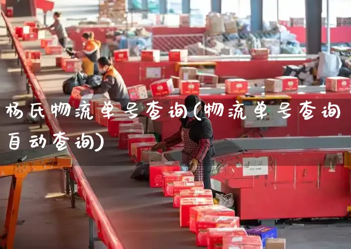 杨氏物流单号查询(物流单号查询自动查询)_https://www.senxinmaoyi.com_物流单号_第1张