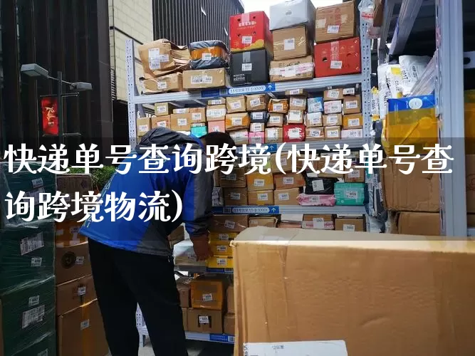 快递单号查询跨境(快递单号查询跨境物流)_https://www.senxinmaoyi.com_快递查询_第1张