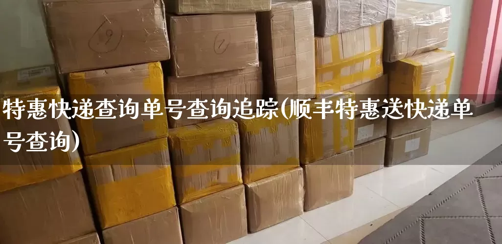 特惠快递查询单号查询追踪(顺丰特惠送快递单号查询)_https://www.senxinmaoyi.com_物流单号_第1张