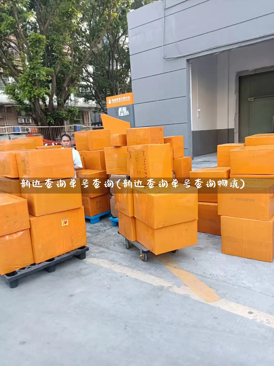 韵达查询单号查询(韵达查询单号查询物流)_https://www.senxinmaoyi.com_物流单号_第1张