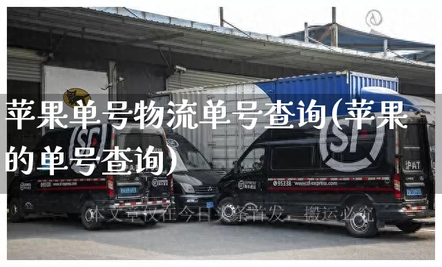 苹果单号物流单号查询(苹果的单号查询)_https://www.senxinmaoyi.com_物流查询_第1张