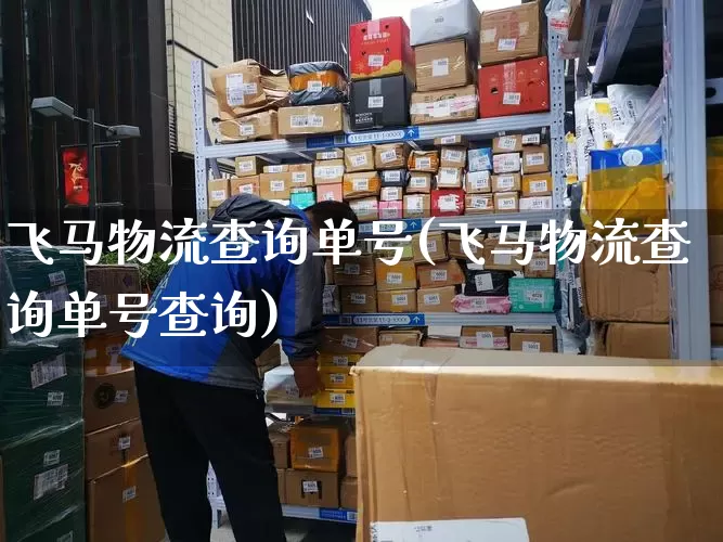 飞马物流查询单号(飞马物流查询单号查询)_https://www.senxinmaoyi.com_快递查询_第1张