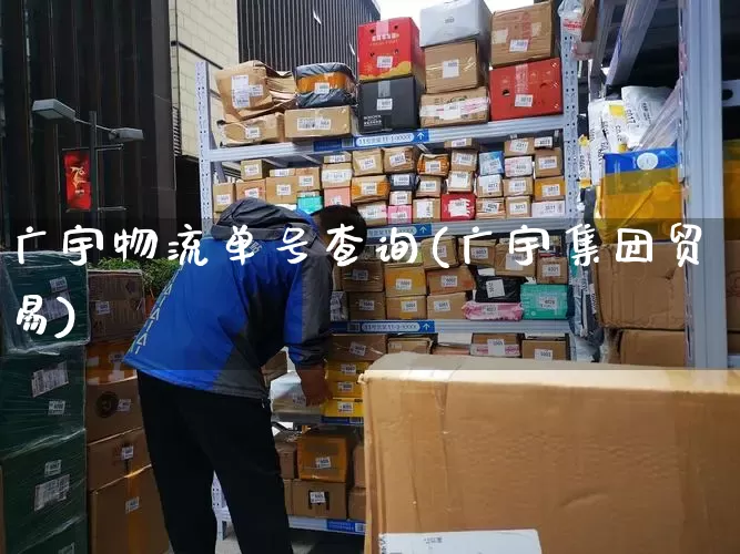 广宇物流单号查询(广宇集团贸易)_https://www.senxinmaoyi.com_快递查询_第1张