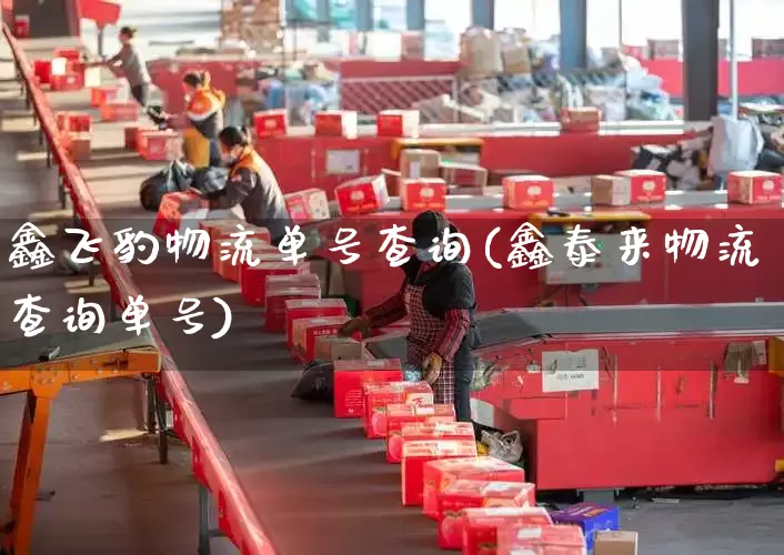 鑫飞豹物流单号查询(鑫泰来物流查询单号)_https://www.senxinmaoyi.com_邮政编码_第1张