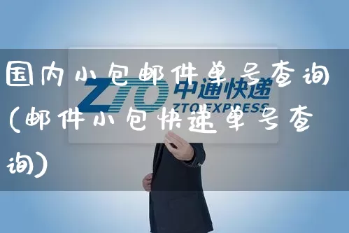 国内小包邮件单号查询(邮件小包快递单号查询)_https://www.senxinmaoyi.com_邮政编码_第1张