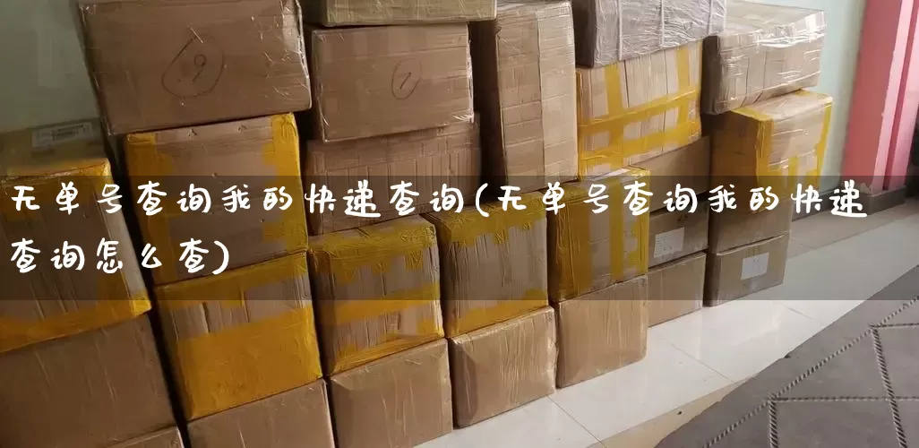 无单号查询我的快递查询(无单号查询我的快递查询怎么查)_https://www.senxinmaoyi.com_物流单号_第1张