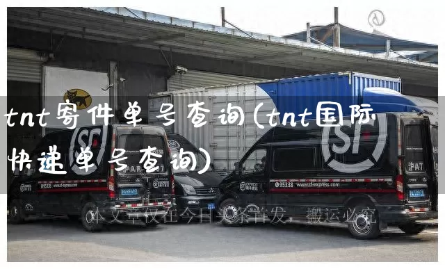 tnt寄件单号查询(tnt国际快递单号查询)_https://www.senxinmaoyi.com_物流单号_第1张