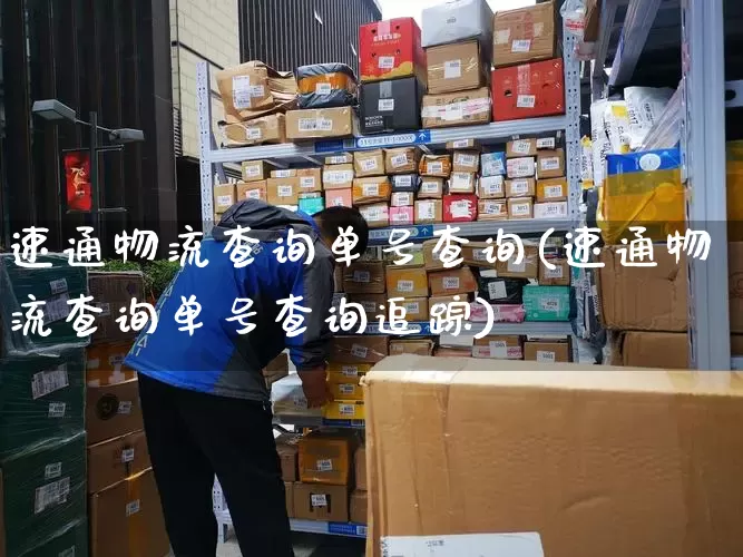 速通物流查询单号查询(速通物流查询单号查询追踪)_https://www.senxinmaoyi.com_邮政编码_第1张