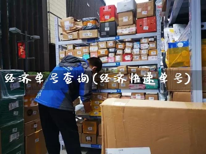 经济单号查询(经济快递单号)_https://www.senxinmaoyi.com_快递查询_第1张