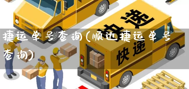 捷运单号查询(顺达捷运单号查询)_https://www.senxinmaoyi.com_物流单号_第1张