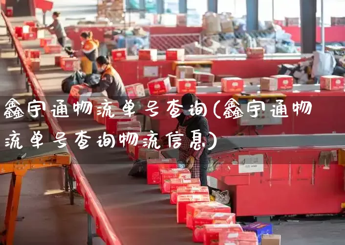 鑫宇通物流单号查询(鑫宇通物流单号查询物流信息)_https://www.senxinmaoyi.com_邮政编码_第1张
