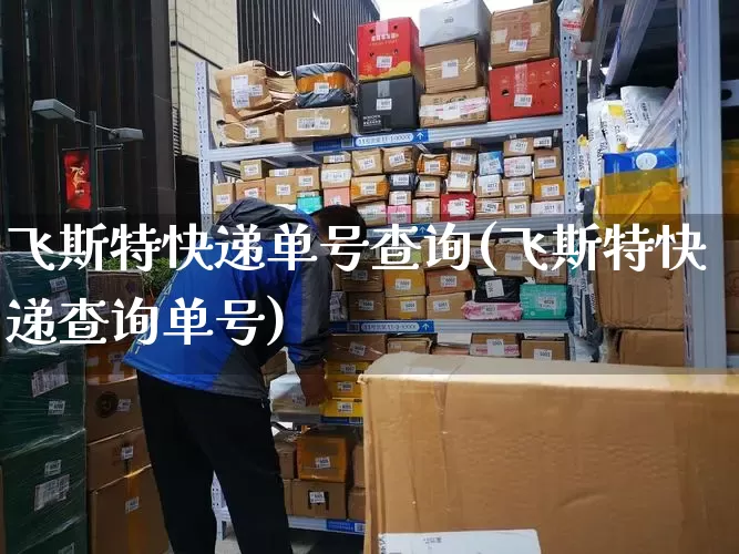 飞斯特快递单号查询(飞斯特快递查询单号)_https://www.senxinmaoyi.com_物流查询_第1张