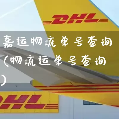 嘉运物流单号查询(物流运单号查询)_https://www.senxinmaoyi.com_快递查询_第1张